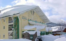 Aparthotel Alpina